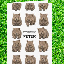  Celebração com Tema de Wombat 