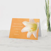 Celebrando a Confirmação da Comunhão RCIA Baptism