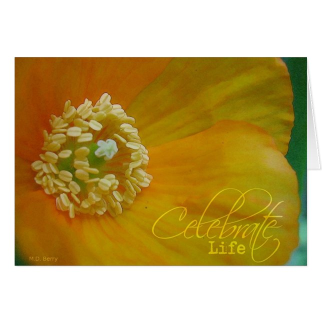 Cartão Celebrar a vida (Frente Horizontal)