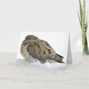 Cartão Celebrar o Cristo com a Paz de Natal e as Bênçãos