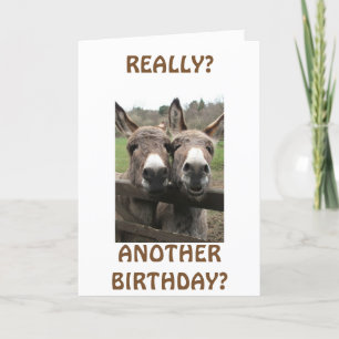 CARTÃO CELEBRATE BIRTHDAY TO GET ATTENTION ASKS MULES?