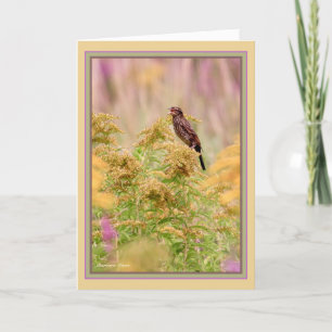 Cartão Celebrate gal-bird: Pássaro preto-de-asa-vermelha-