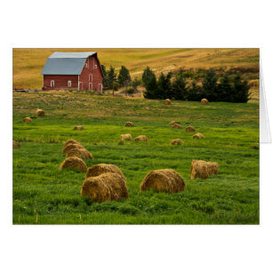 Cartão Celeiro Vermelho, fardos de feno, Albion, Área de