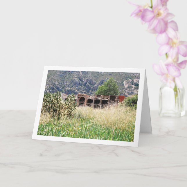 Cartão Cemitério de Domeño, Domeño Viejo, Valência (Orquídea)