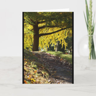 Cartão Cemitério de Greenwood, Brooklyn, NY