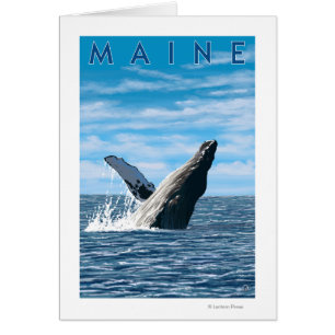Cartão Cena da baleia de MaineHumpback