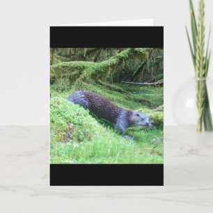 Cartão Cena da Natureza das Lontras Ilustração da Vida Se
