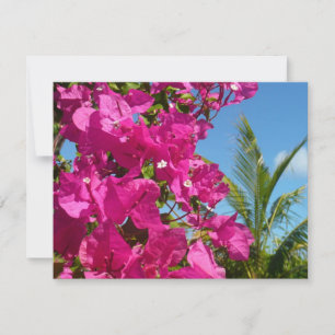Cartão Cena da Natureza Tropical de Bougainvillea e Palm