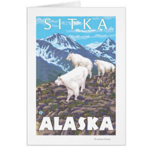 Cartão Cena de Caprinos de Montanha - Sitka, Alasca