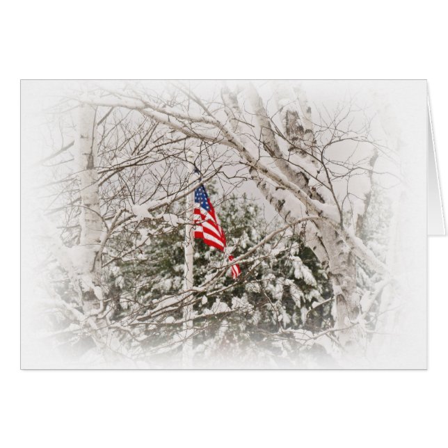 Cartão Cena de Sinalizador dos EUA (Frente Horizontal)