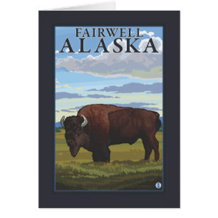 Cartão Cena do bisonte - Fairwell, Alaska