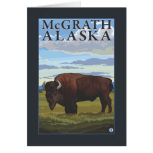 Cartão Cena do bisonte - McGrath, Alaska