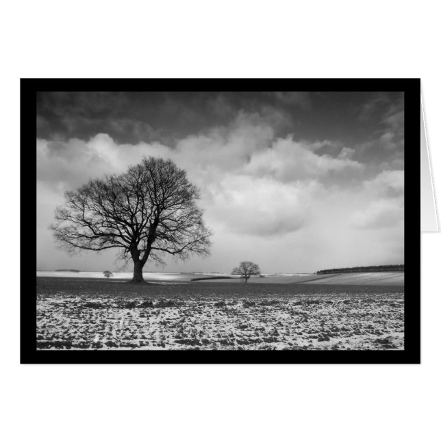 Cartão cena do programa norfolk (Frente Horizontal)