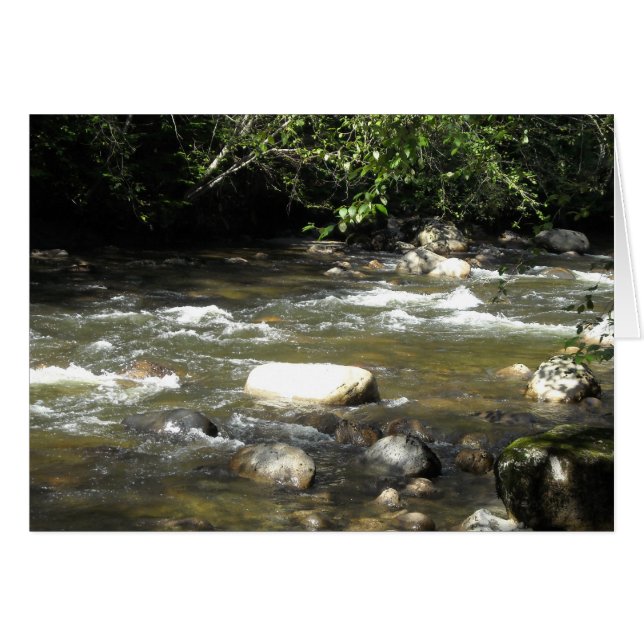 Cartão Cena do rio (Frente horizontal)