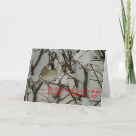 Cartão Cena e Escritura de Neve