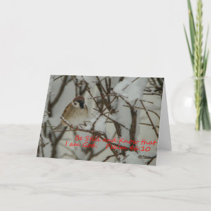 Cartão Cena e Escritura de Neve