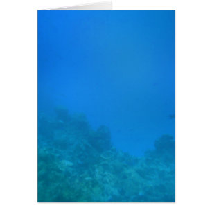 Cartão Cena Submarina