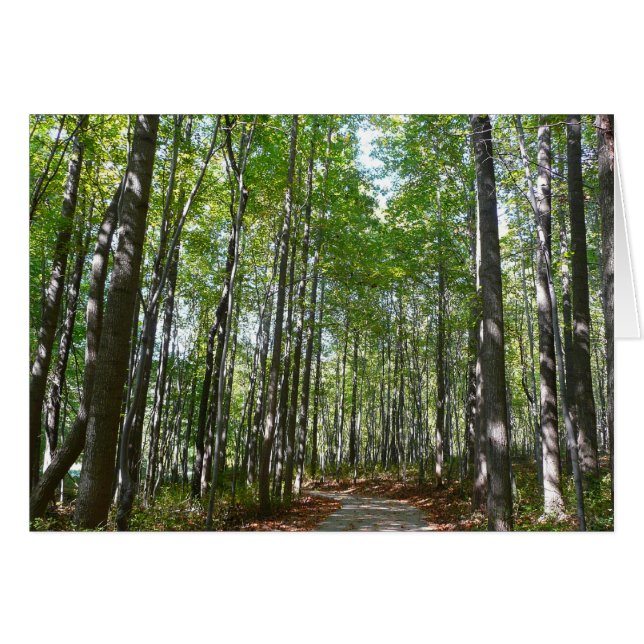 Cartão Centennial Wooded Path II Ellicott City Maryland (Frente Horizontal)