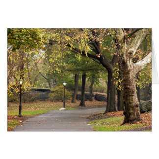 Cartão Central Park