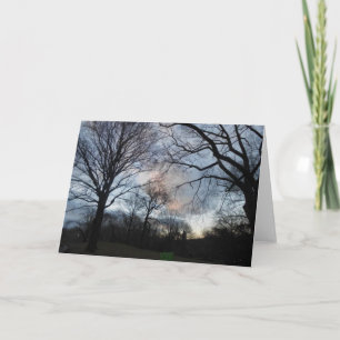 Cartão Central Park B