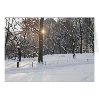 Cartão Central Park de inverno Sunlight