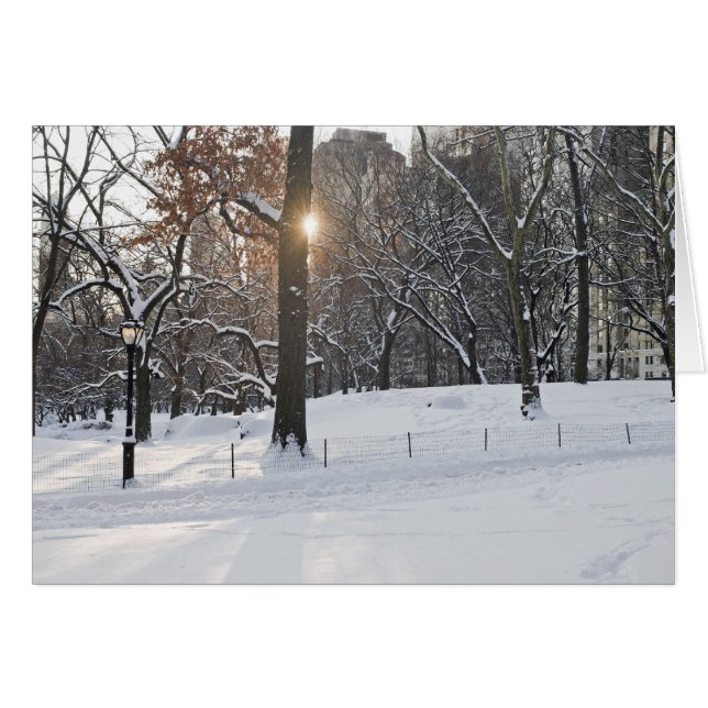 Cartão Central Park de inverno Sunlight (Frente Horizontal)