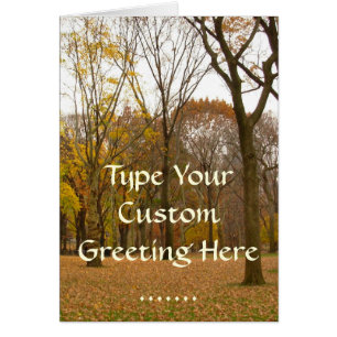 Cartão Central Park New York Souvenir Card