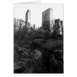 Cartão Central Park South Skyline NYC