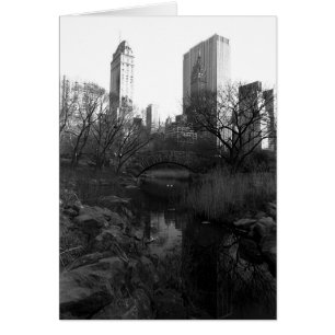 Cartão Central Park South Skyline NYC