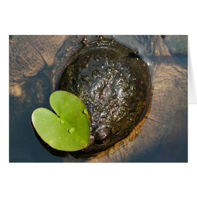 Cartão Centralizado (Frente Horizontal)