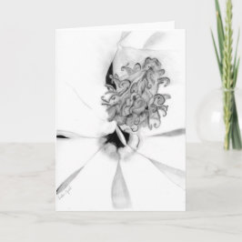 Cartão Centro de Magnolia