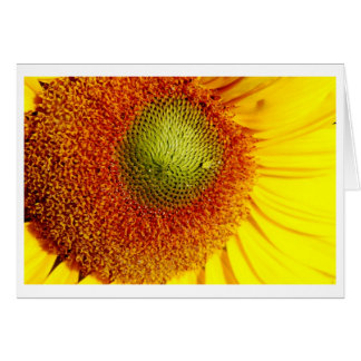 Cartão Centro Sunshine