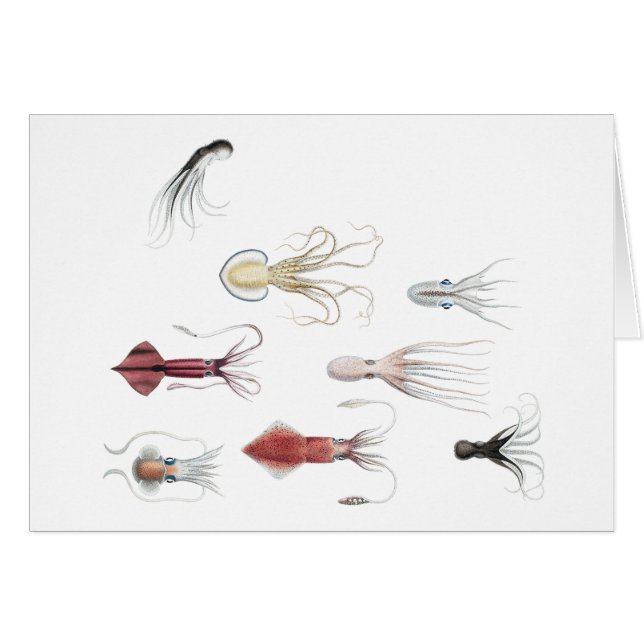 Cartão Cephalopodified (Frente horizontal)