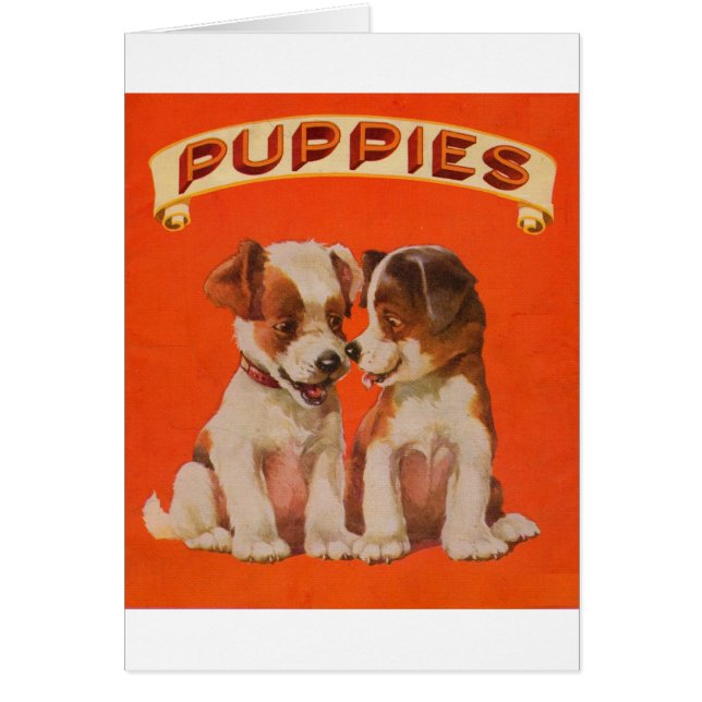 Cartão cerca de 1934 PUPPIES (Frente)