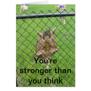 Cartão Cerca de escalada da tartaruga