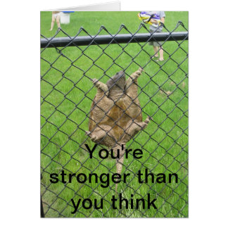 Cartão Cerca de escalada da tartaruga