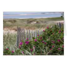 Cerca de Praia Chatam Light