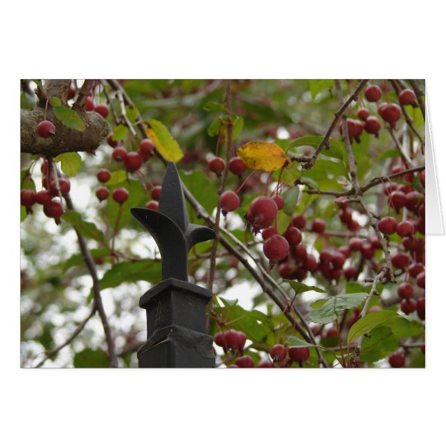 Cartão Cerca e maçaricos (Frente Horizontal)