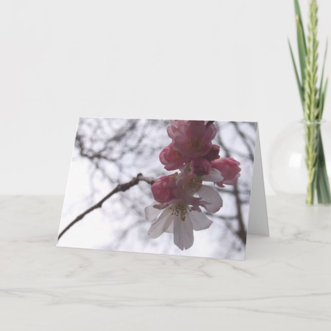 Cartão cereja (Frente)