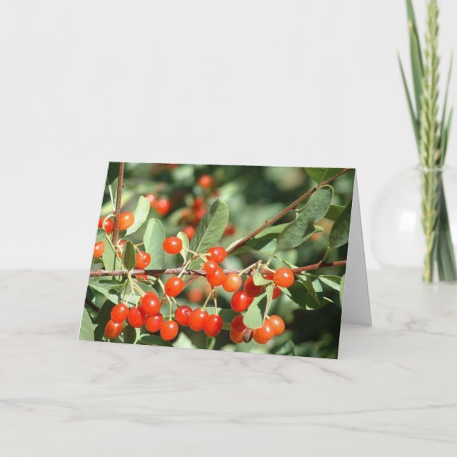 Cartão Cerejas selvagens 1 (Frente)