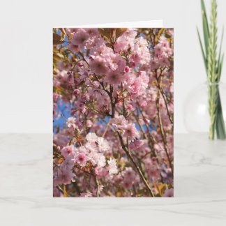 Cartão Cerejeira Rosa Flor de Primavera
