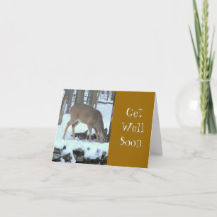 CARTÃO CERVEJA NA NEVE WOODS ÁGUA BEBENDO DO FLUXO