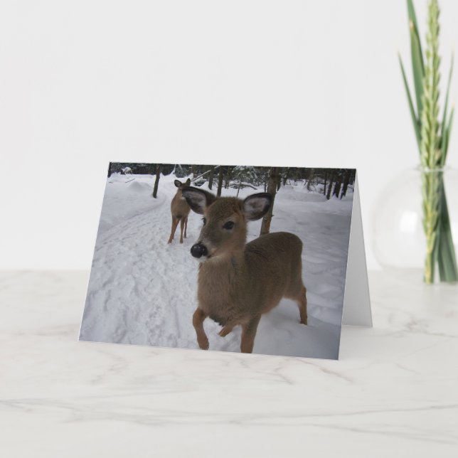 Cartão cervos amigáveis (Frente)