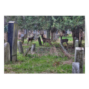 Cartão Cervos em Zentralfriedhof