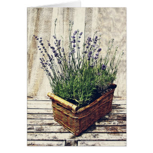 Cartão cesta da lavanda