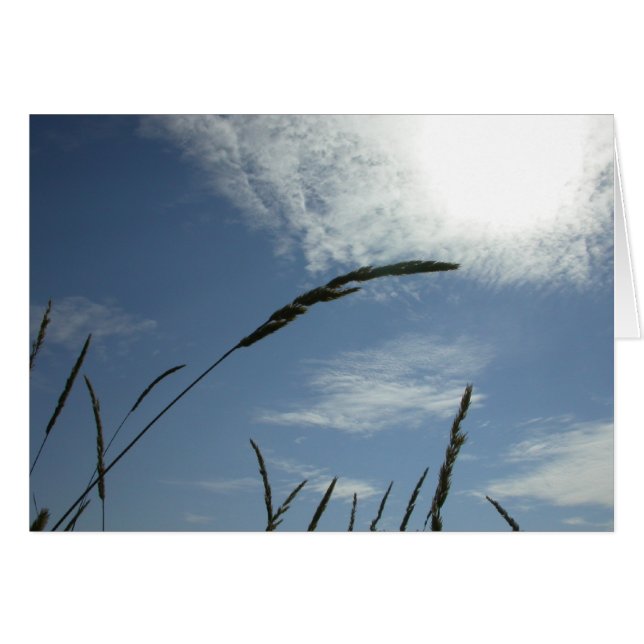 Cartão Céu azul (Frente Horizontal)