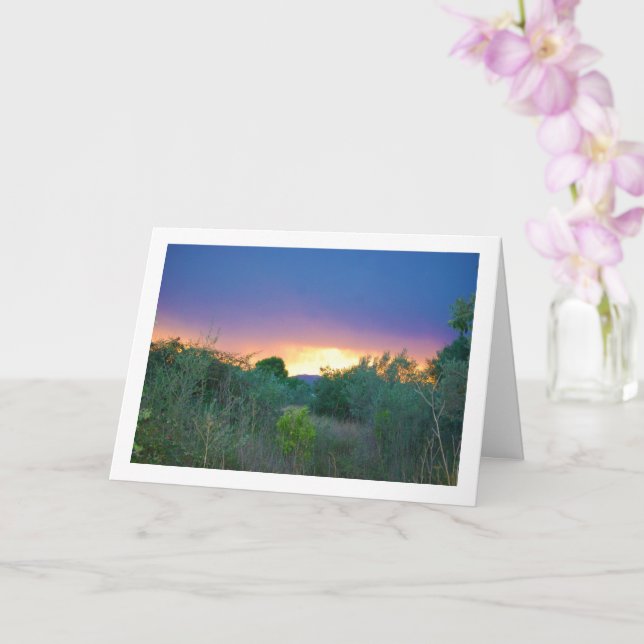 Cartão Céu da Montanha Laranja (Orquídea)