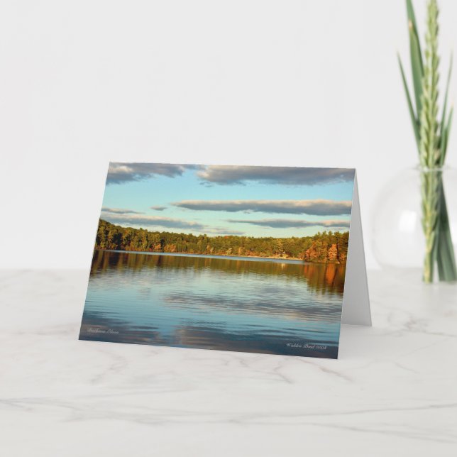 Cartão *Céu: Sob Nossos Pés E Sobre Nossas Cabeças: Sauda (Frente)