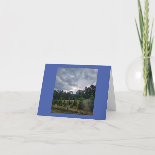 Cartão Céu temperado e pinheiros (Frente)