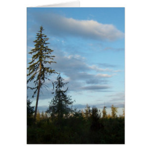 Cartão Céus azuis calmos